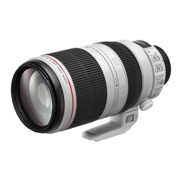 Canon EF 100-400mm f4.5-5.6L IS USM II – Ted's Cameras