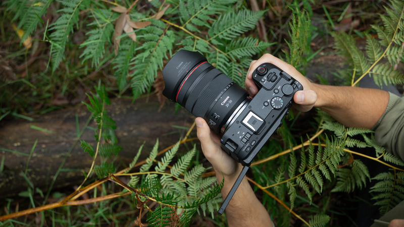 Canon EOS R Full-Frame Mirrorless Camera Roundup