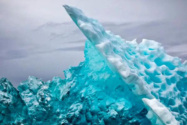 Alaska with Dr. Andrew Peacock