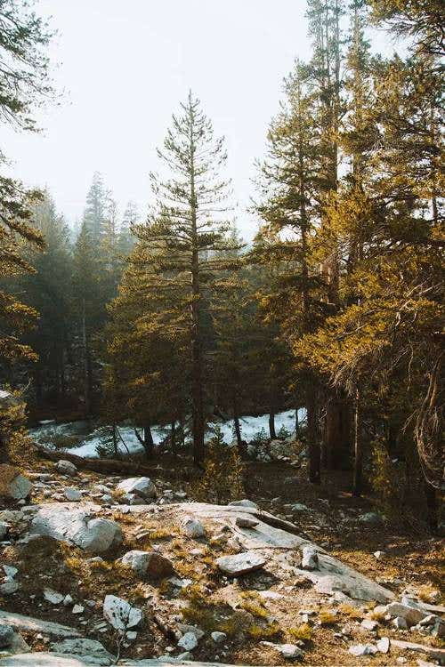 The Best Landscape Photography Tips For Beginners