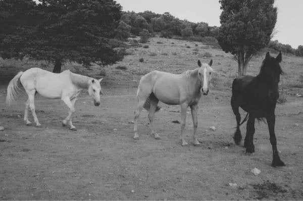 What Is Film Grain - And How To Add It to Your Photos