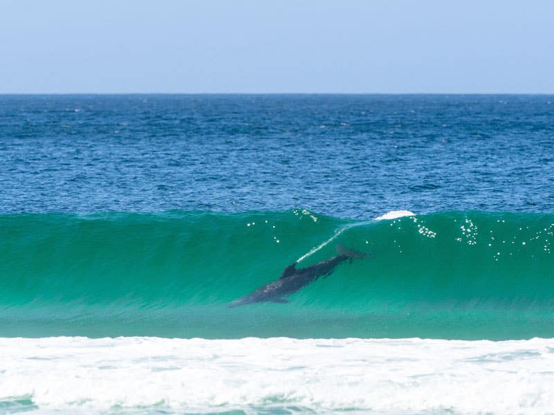Top 5 Aussie Getaways with Travel Photographer Robert King