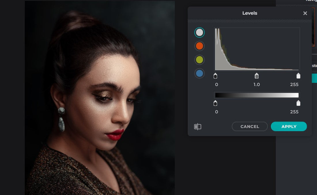 Understanding Camera Histograms for Better Photography