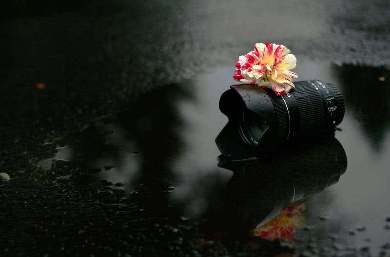 How To Master Rainy Day Photography