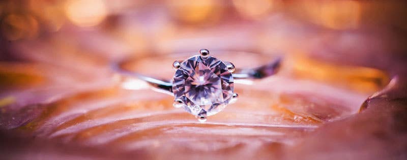 A Beginner's Guide to Macro Photography