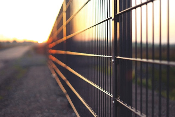 Why You Should Use Manual Focus and How To Do It