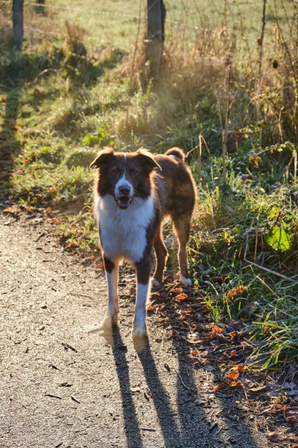 Beating the Glare: Mastering Photography in the Midday Sun