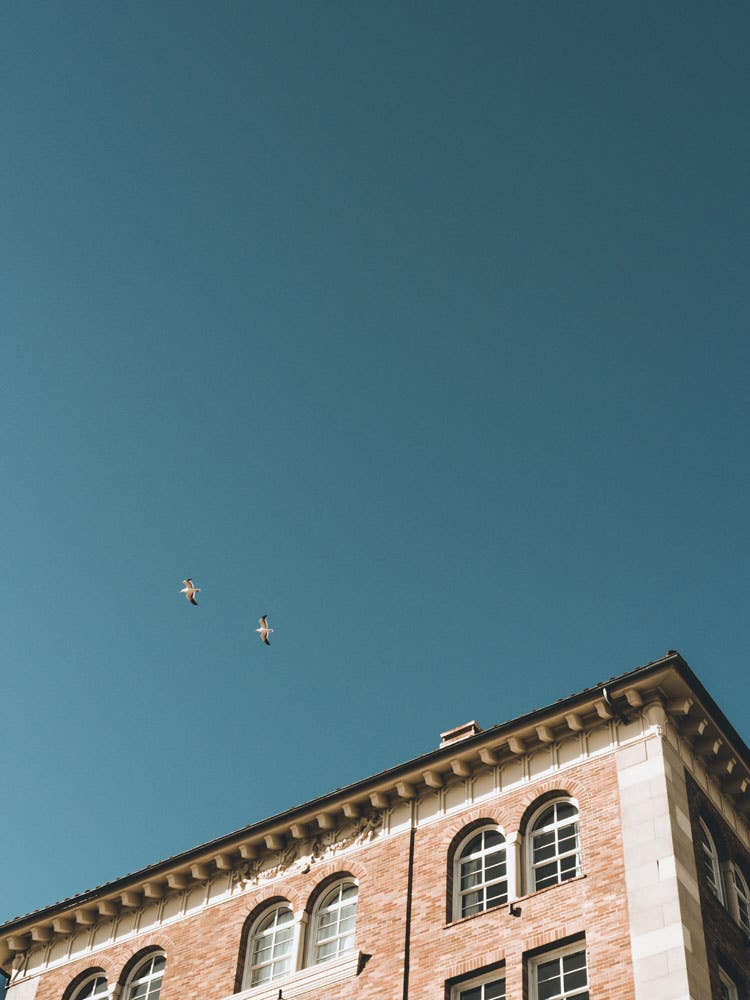 How to Use Negative Space to Compose Better Photos