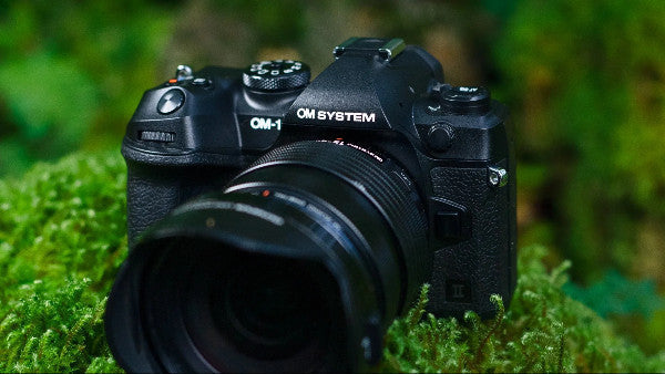 Olympus & OM System Mirrorless Camera Roundup - 2026