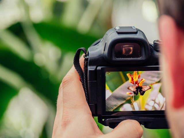 Photography Workflow Tips: What Is a Workflow, and Why Do You Need One?