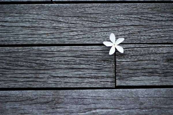 How To Use the Rule of Thirds To Compose Better Photos