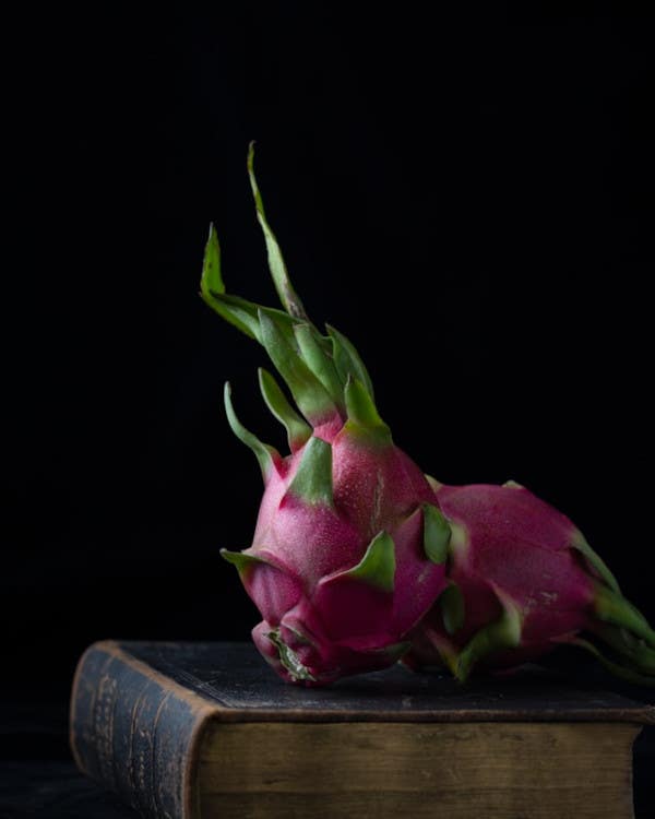 Beautiful still life photography setup with carefully arranged objects and controlled studio lighting