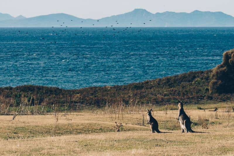 Where To Go in Tasmania for the Best Landscape Photos