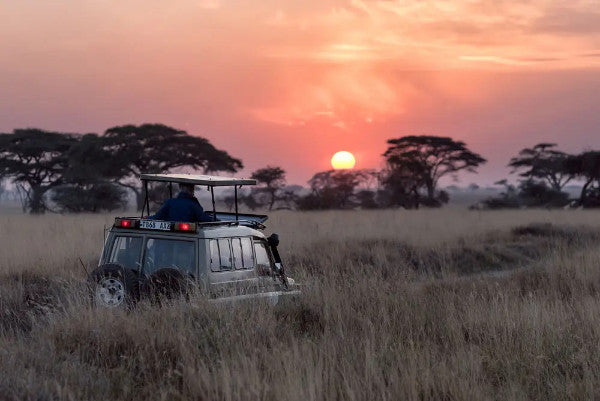 A Photographer's Guide to Planning the Perfect African Safari