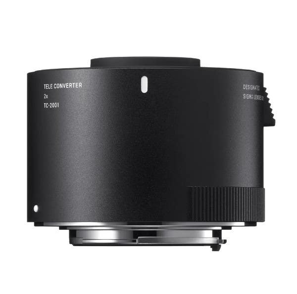 Understanding and Using Teleconverters: What Does a Teleconverter Do?
