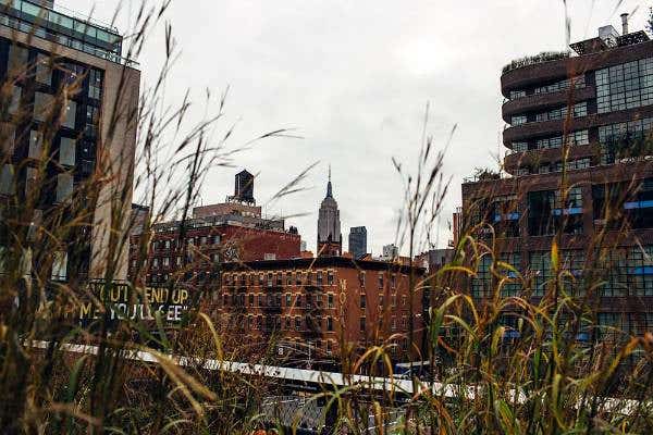 The New York City Highline elevated park photographed by Tilly Clifford on Canon 5D Mark III