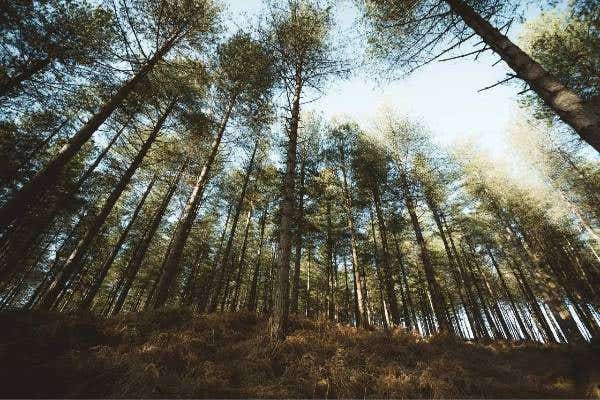 Wide-Angle vs. Telephoto Lens for Landscape Photography