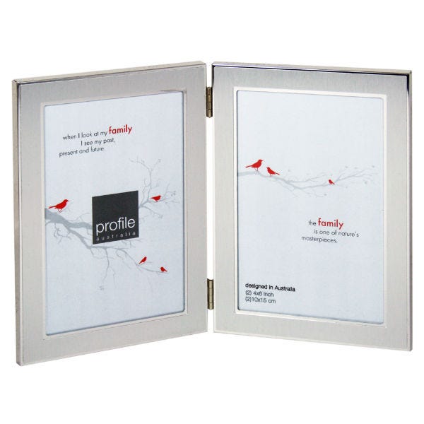 Profile Metal Eternal Silver 4x6 V/Double Frame