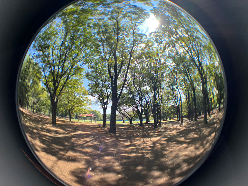 Kenko ExaPro Fisheye Clip-On Lens