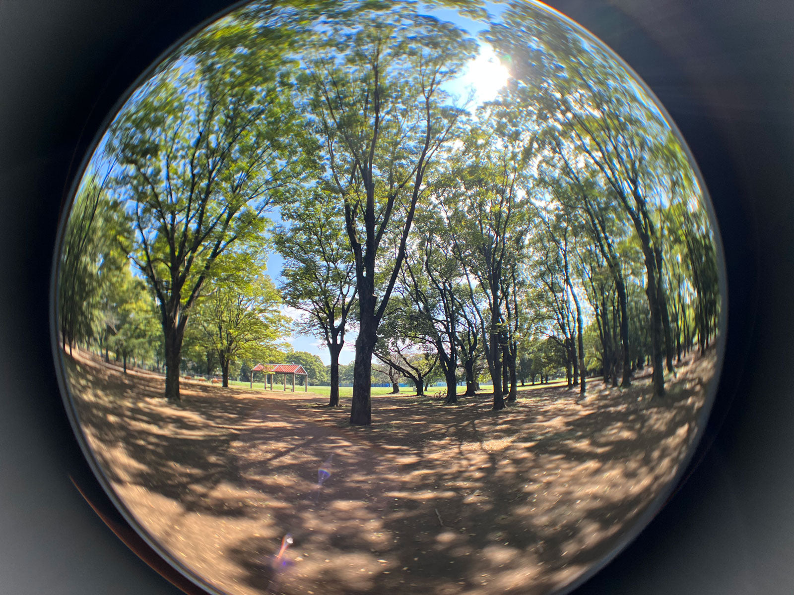 Kenko ExaPro Fisheye Clip-On Lens