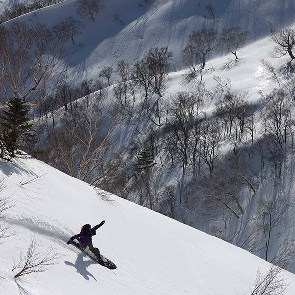 Canon RF 100-500mm f/4.5-7.1 L IS USM Zoom