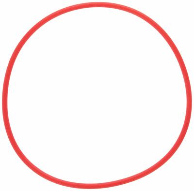 Olympus POL-053 O-Ring for PT-053 Underwater Housing