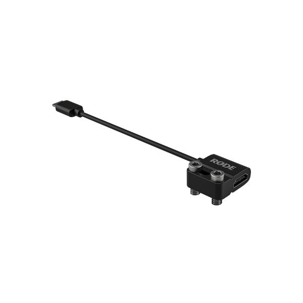 Black HDMI to Mini HDMI adapter cable shown at an angle against a white background, displaying both connector ends.