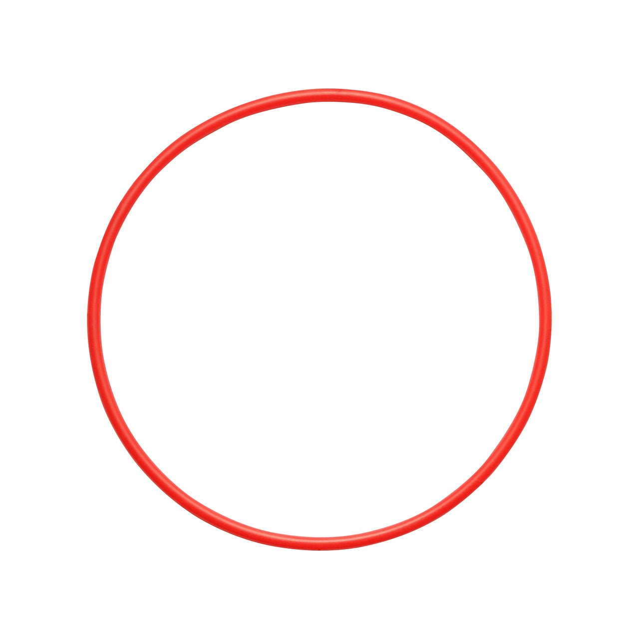 Olympus POL-058 O-Ring for PT-058 Underwater Housing