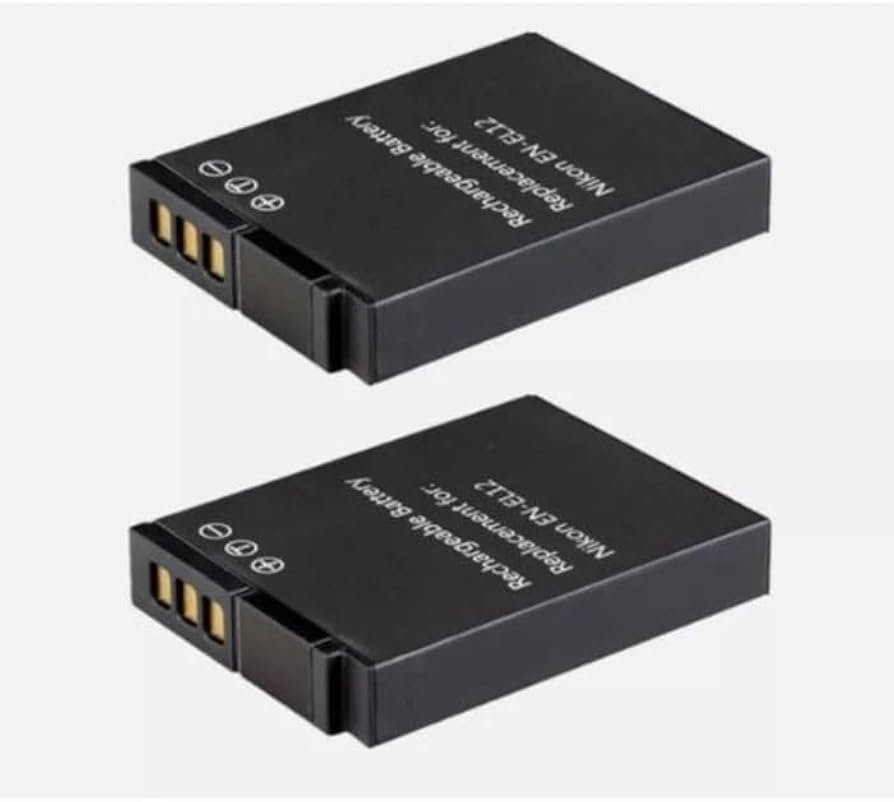 Minshi Panasonic DMW-BCG10E 3.7V 1500mAh 2-Pack Battery