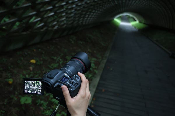Canon RF 24mm f/1.4L VCM | Secondhand
