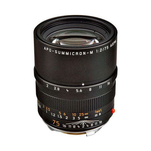 Black Leica 75mm f/2 APO Summicron-M lens shown from front angle against white background, displaying aperture ring and focus distance scale.