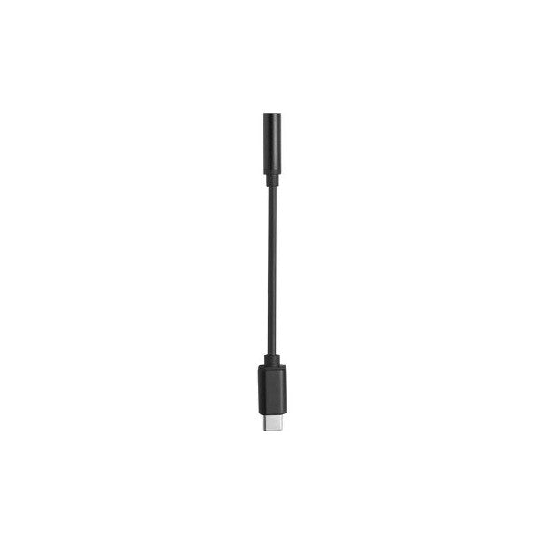 Black cable with 3.5mm connector at top and USB-C connector at bottom, displayed vertically against white background.