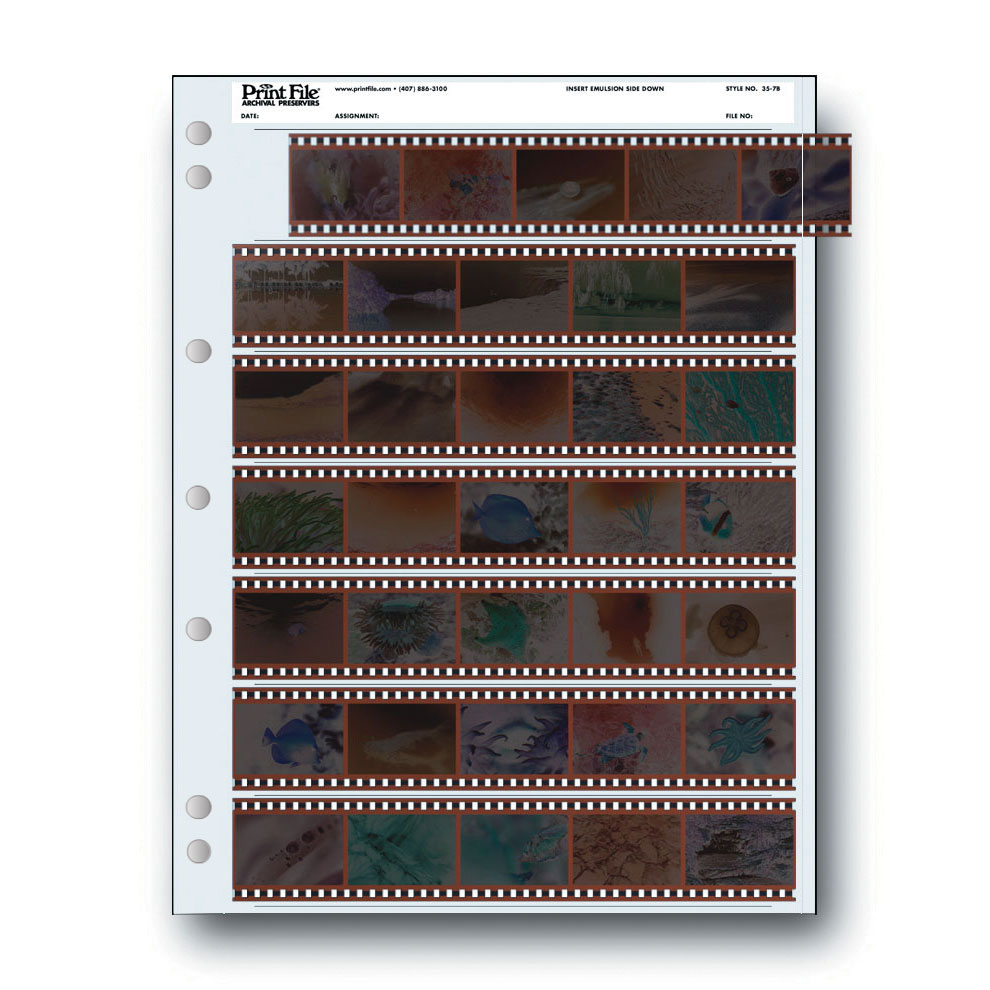 Print File 35mm Negative Archival Pages 7 x 35mm (100-Pack)
