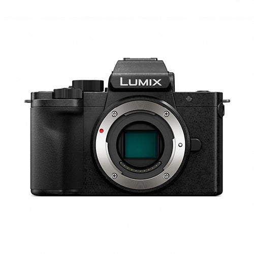Panasonic Lumix G100 Mirrorless Camera Body