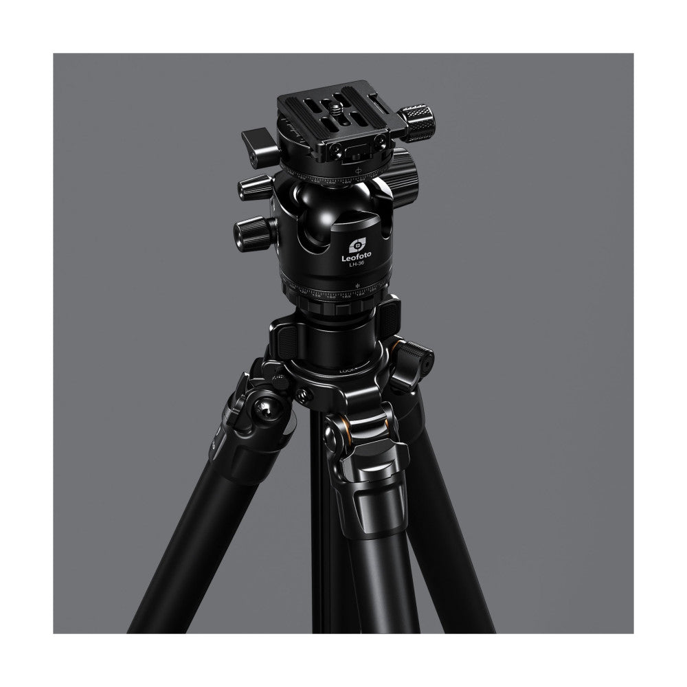 Black Leofoto tripod with ball head mounted on top, shown at three-quarter angle against neutral gray background.
