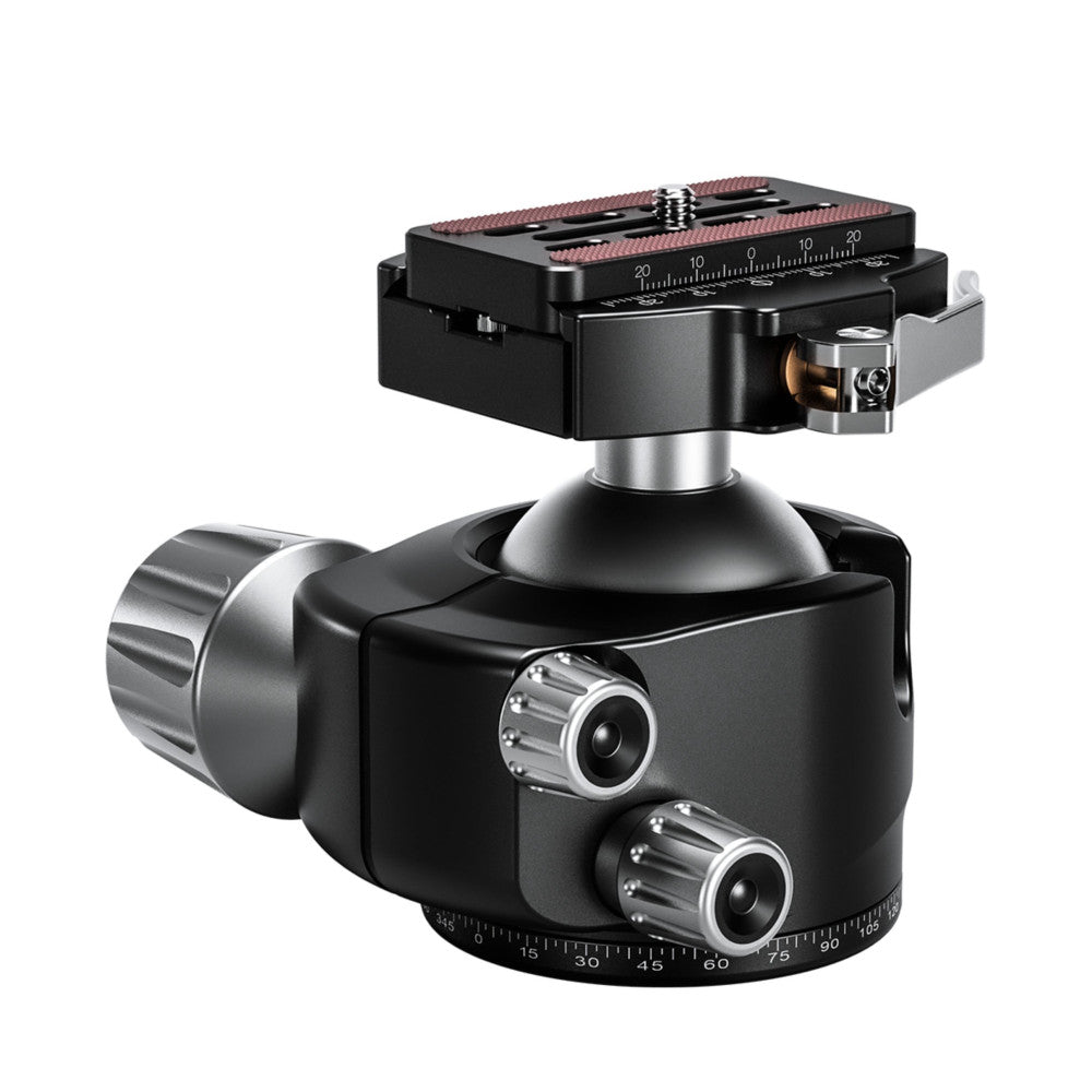Professional ball head with quick release plate mounted on stand, shown at three-quarter angle displaying dual control knobs and graduated degree markings.