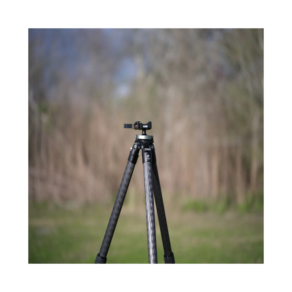 Carbon fiber tripod with integrated ballhead displayed outdoors against a blurred forest background, showing front three-quarter view.
