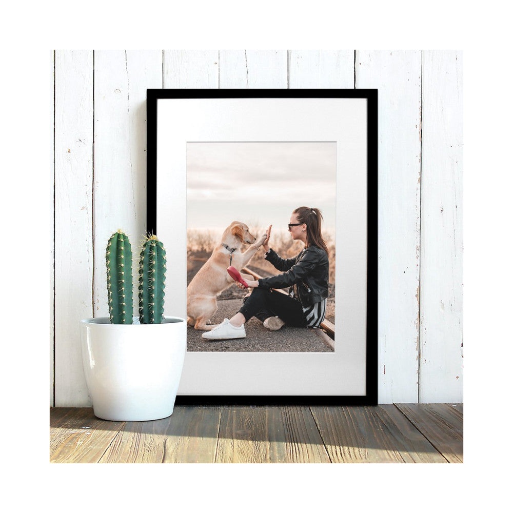 Black framed photo display leaning against white shiplap wall, showing woman high-fiving dog outdoors, with potted cactus plant beside it.