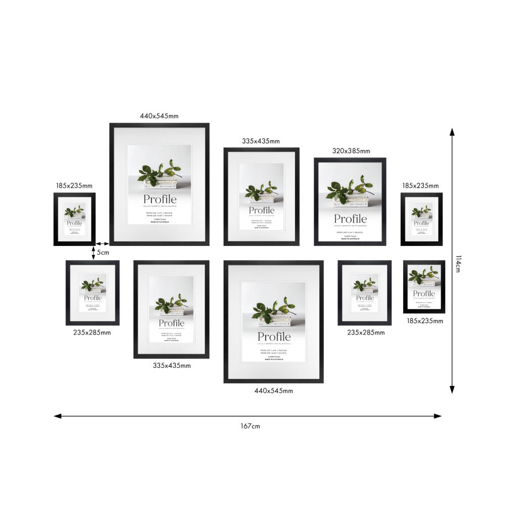 Flat layout diagram showing 10 black frames of various sizes with dimensions labeled, arranged on a white background with a plant image visible in each frame.