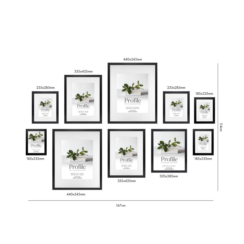 Overhead layout view of 10 black frames in various sizes displaying a plant image with "Profile" text and dimensions labeled.