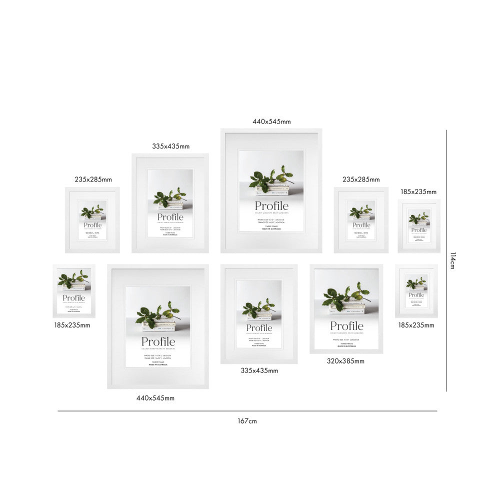 Product layout diagram showing 10 white frames of varying sizes arranged flat with dimensions labeled and a potted plant photo displayed in each frame.