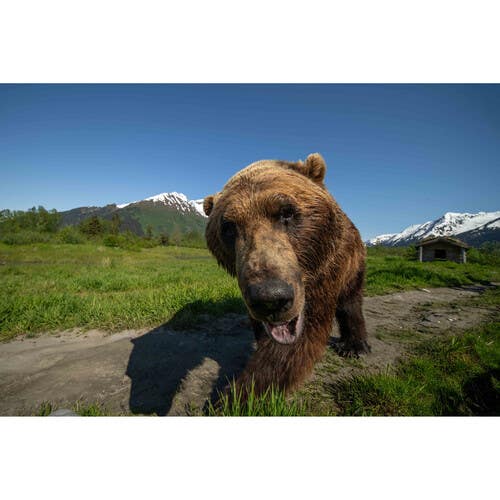 Laowa 12mm F2.8 Lite Zero-D Lens -MF- L Mount