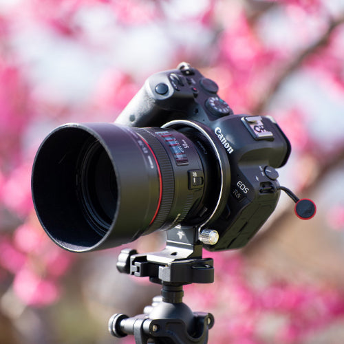Silence Corner Atoll C Rotating Camera Collar for Select Mirrorless Cameras - Black