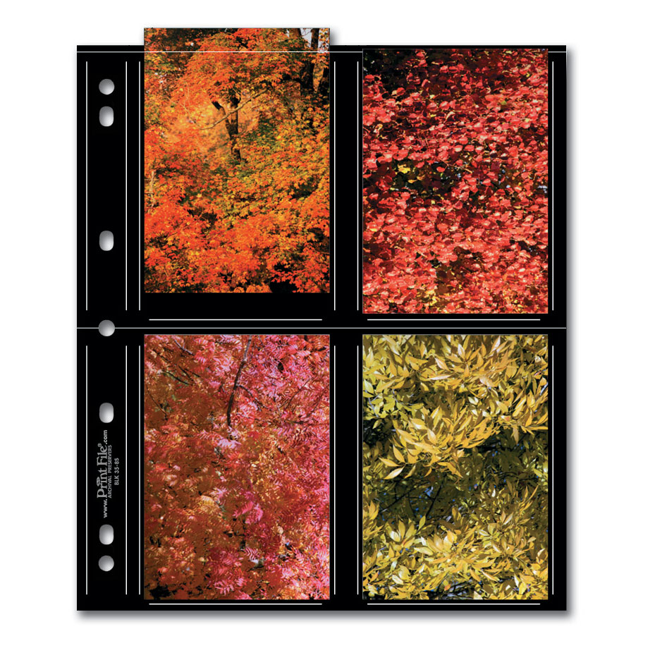 Print File BLK 35-8S Archival Album Pages (25 Pack)
