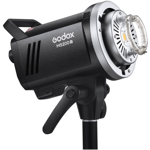 Godox MS 300-V 2 Head Octa Softbox & Stand Kit