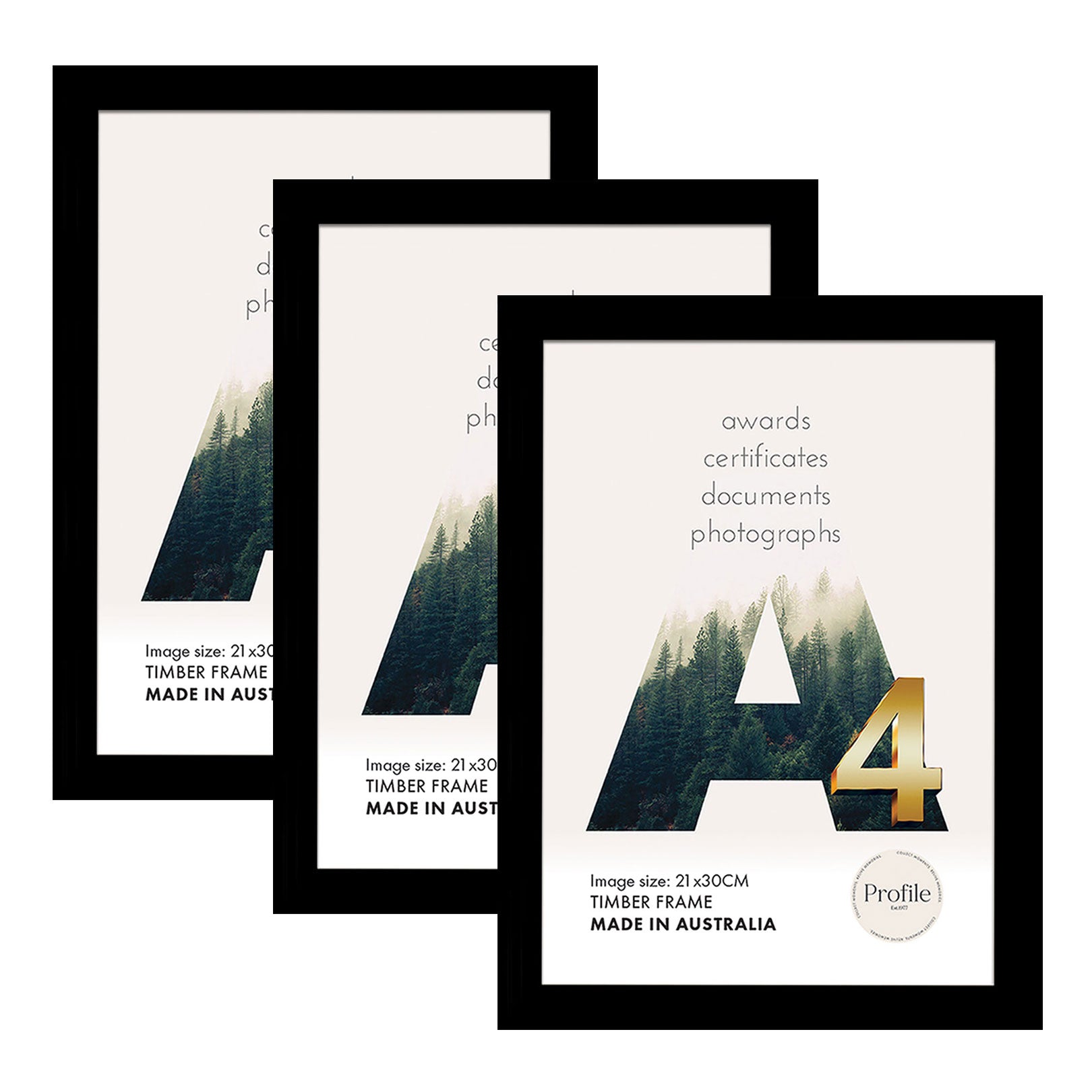 Elegant-Certificate-Black-A4-x3.jpg