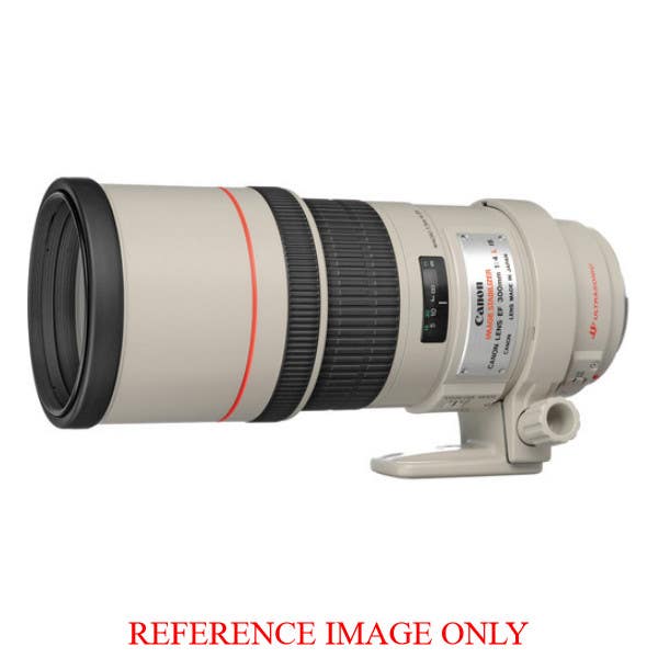 Canon EF 300mm f4 L IS USM | Secondhand