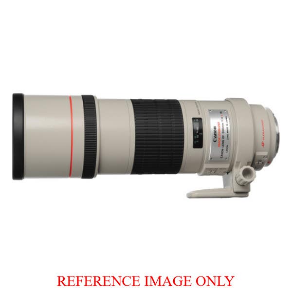 Canon EF 300mm f4 L IS USM | Secondhand – Ted's Cameras