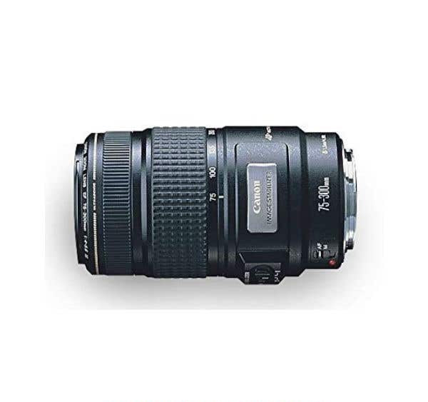 Canon EF 75-300mm f4-5.6 IS USM | Secondhand