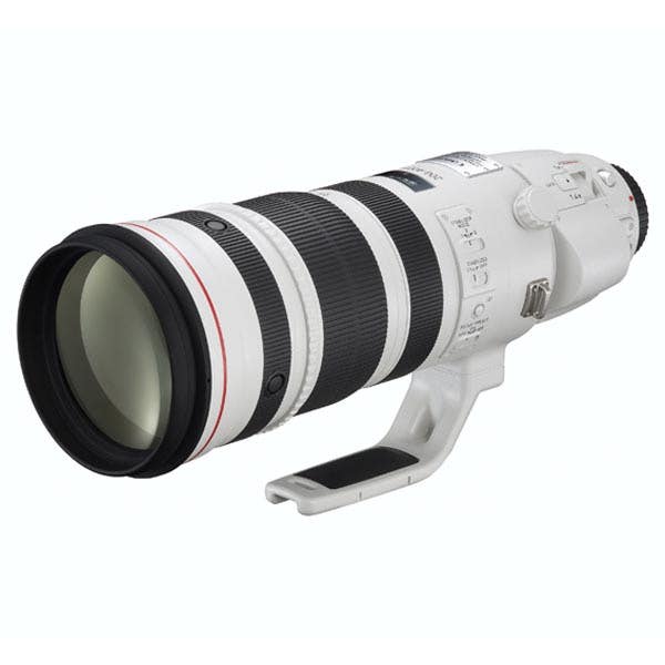 Canon EF 200-400mm f4L IS USM + 1.4x Tele-converter